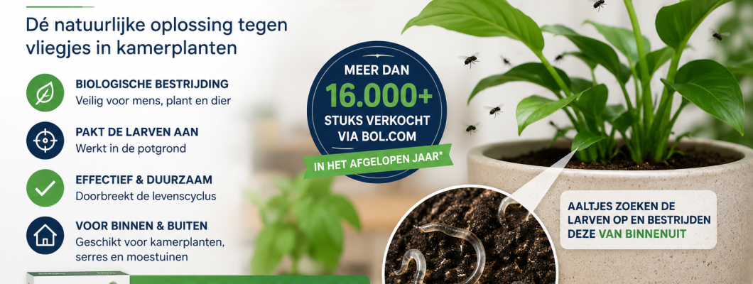 Aaltjes Tegen Rouwvliegjes