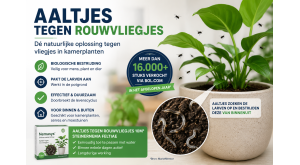 Aaltjes Tegen Rouwvliegjes