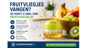 Fruitvliegjes Vangen? Snel Van Fruitvliegjes Af