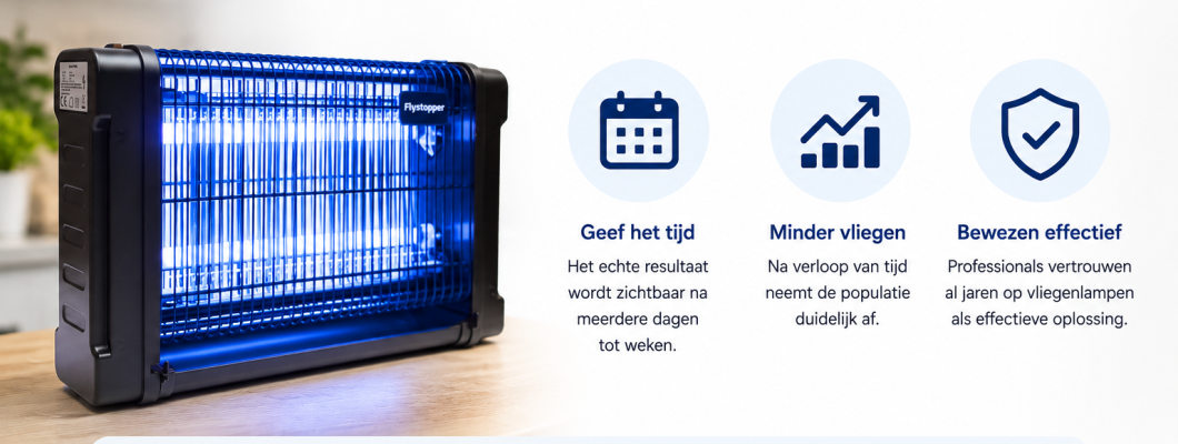 Werkt een vliegenlamp echt?