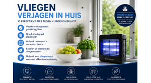 Vliegen Verjagen in Huis? 10 Effectieve Tips Tegen Vliegenoverlast