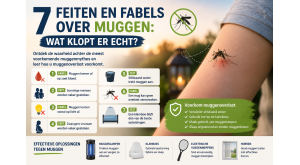 7 feiten en fabels over muggen: wat klopt er echt?