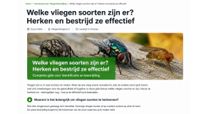 Welke vliegensoorten komen voor in Nederland? Herken de meest voorkomende vliegen